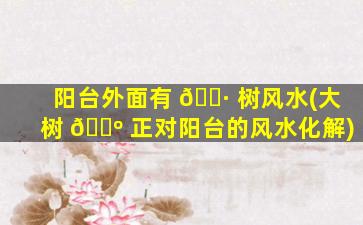 阳台外面有 🌷 树风水(大树 🐺 正对阳台的风水化解)